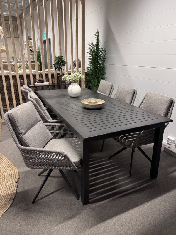 Kiwi 220 / Swivel